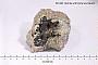 Bornite