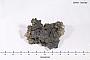 Bornite