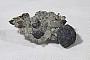 Bornite