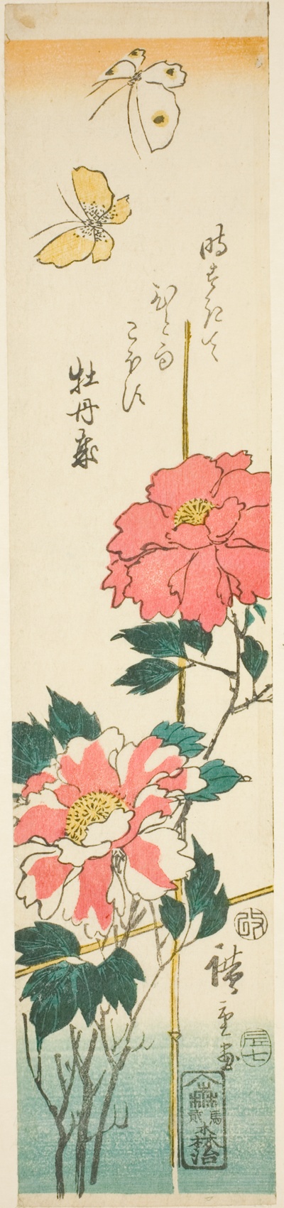 Botan hana ni chocho