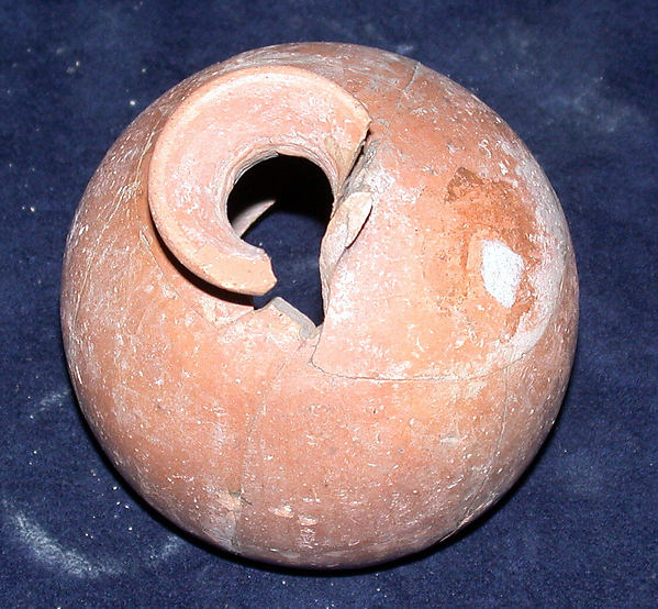 Bottle