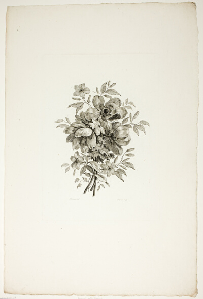 Bouquet with Poppies, from Recueil de differents bouquets de fleurs