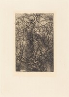Branches