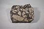Breccia