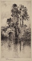 Bridge and Trees