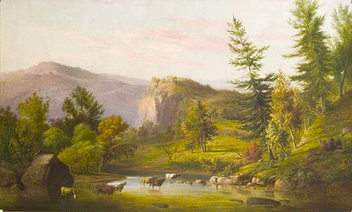 Brook in Summer