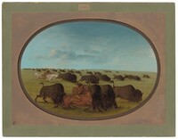 Buffalo Chase, with Accidents