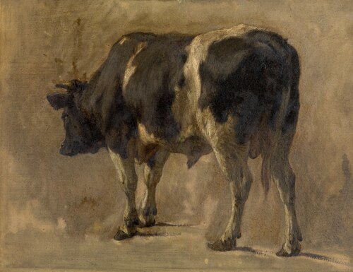 Bull