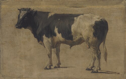Bull