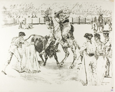 Bull-Fight