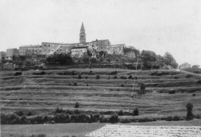 Buzet, panorama