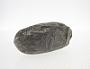 Calcareous concretion