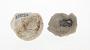 Calcareous concretion