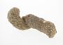 Calcareous concretion