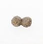 Calcareous concretion