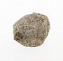 Calcareous concretion