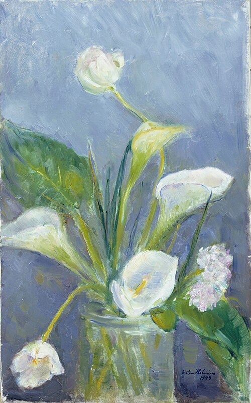 Calla