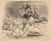 Camel Rider