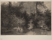 Canards