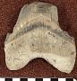 Carcharocles megalodon