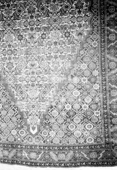 Carpet