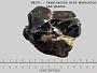 Cassiterite