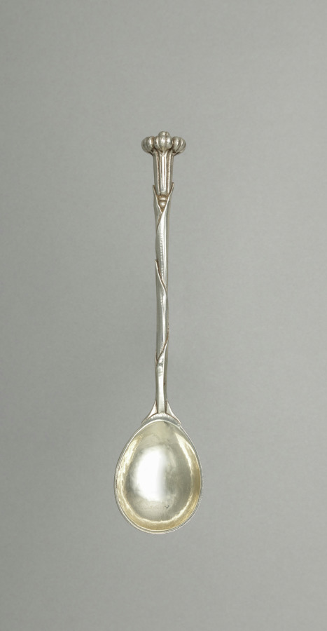 Caviar Spoon