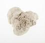 Celestine concretion