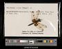 Celithemis elisa
