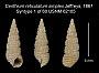 Cerithium reticulatum simplex