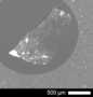 Cerium-phosphate