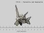 Cerussite