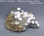 Chabazite