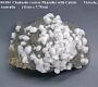 Chabazite