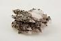 Chalcopyrite