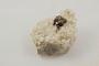 Chalcopyrite