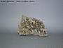 Chalcopyrite
