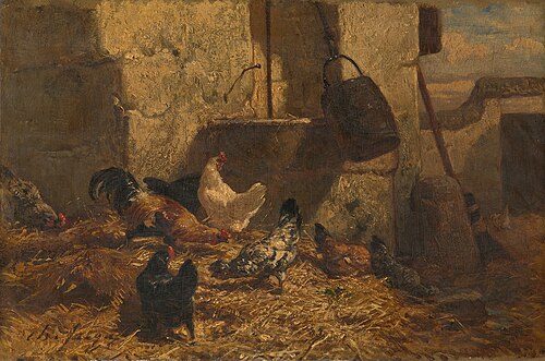 Chickens