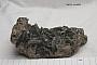 Chlorite