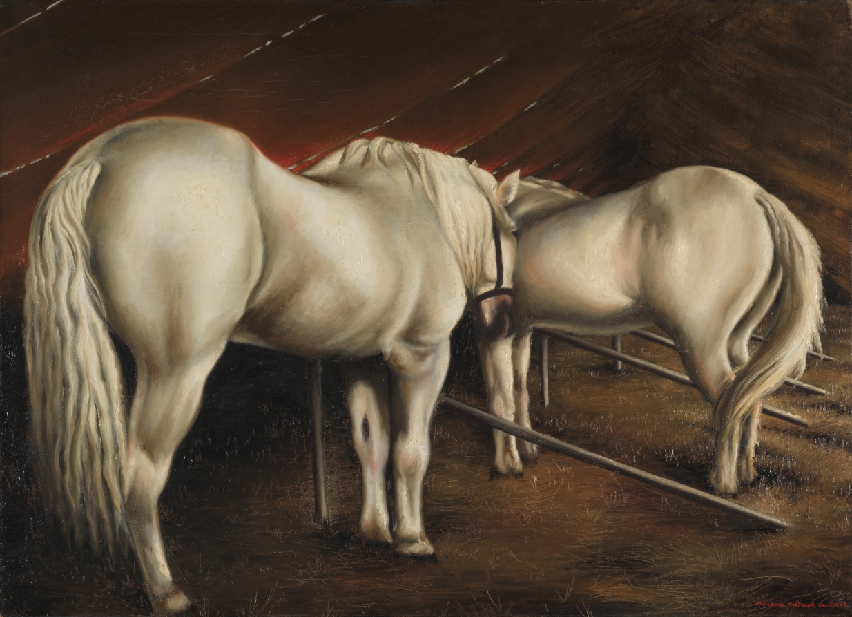 Circus Horses