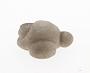 Clay concretion