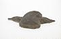 Clay concretion