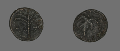 Coin Depicting a Palm Tree