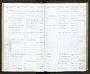 Colobus sp.