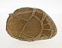 Concretion