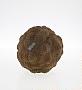 Concretion