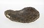 Concretion