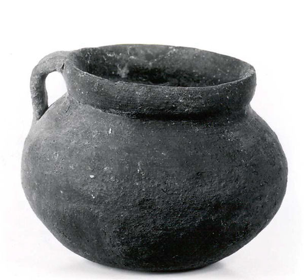 Cooking pot