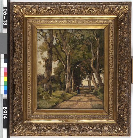 Country Lane