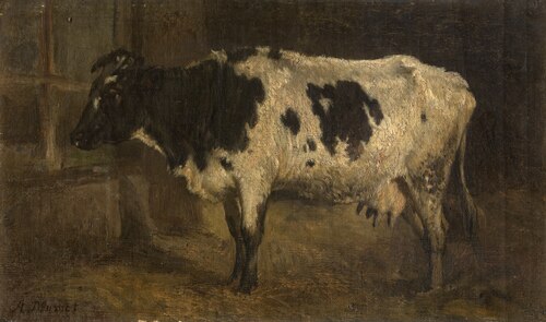 Cow